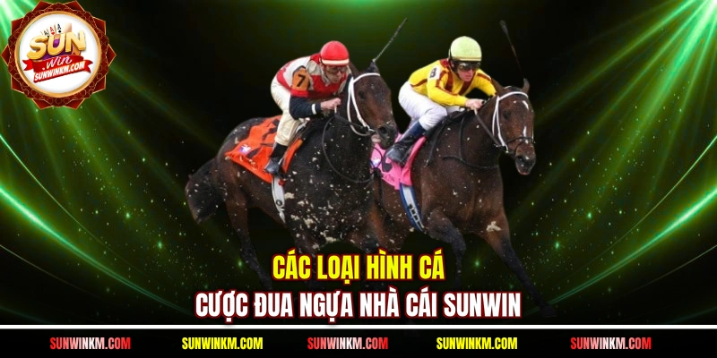 Các loại hình cá cược đua ngựa nhà cái SUNWIN